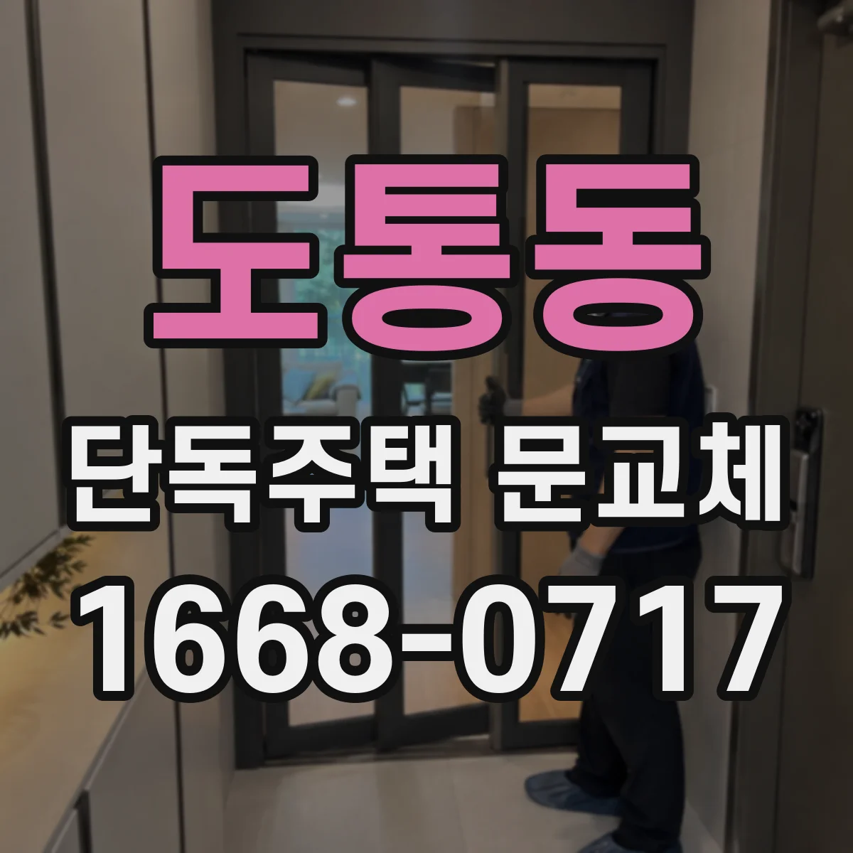 도통동 단독주택 문교체
