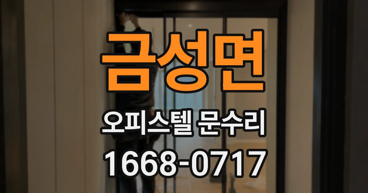 금성면 오피스텔 문수리