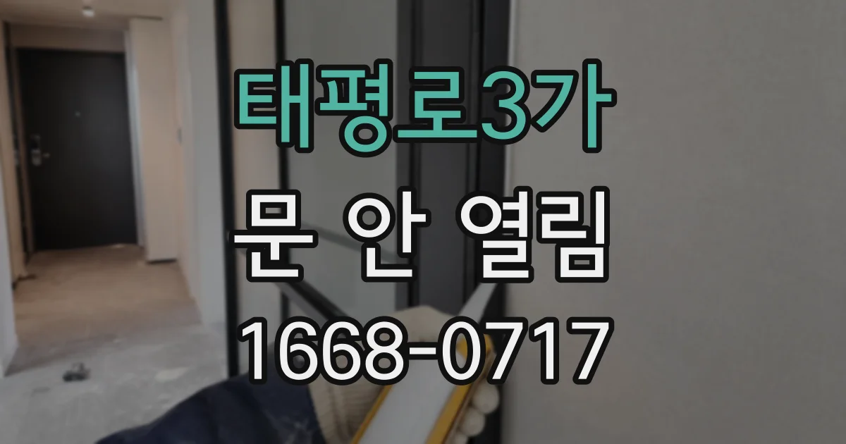 태평로3가 문 안 열림