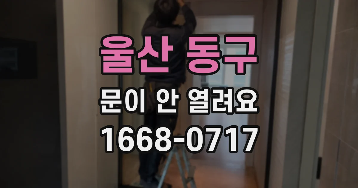 울산 동구 문이 안 열려요