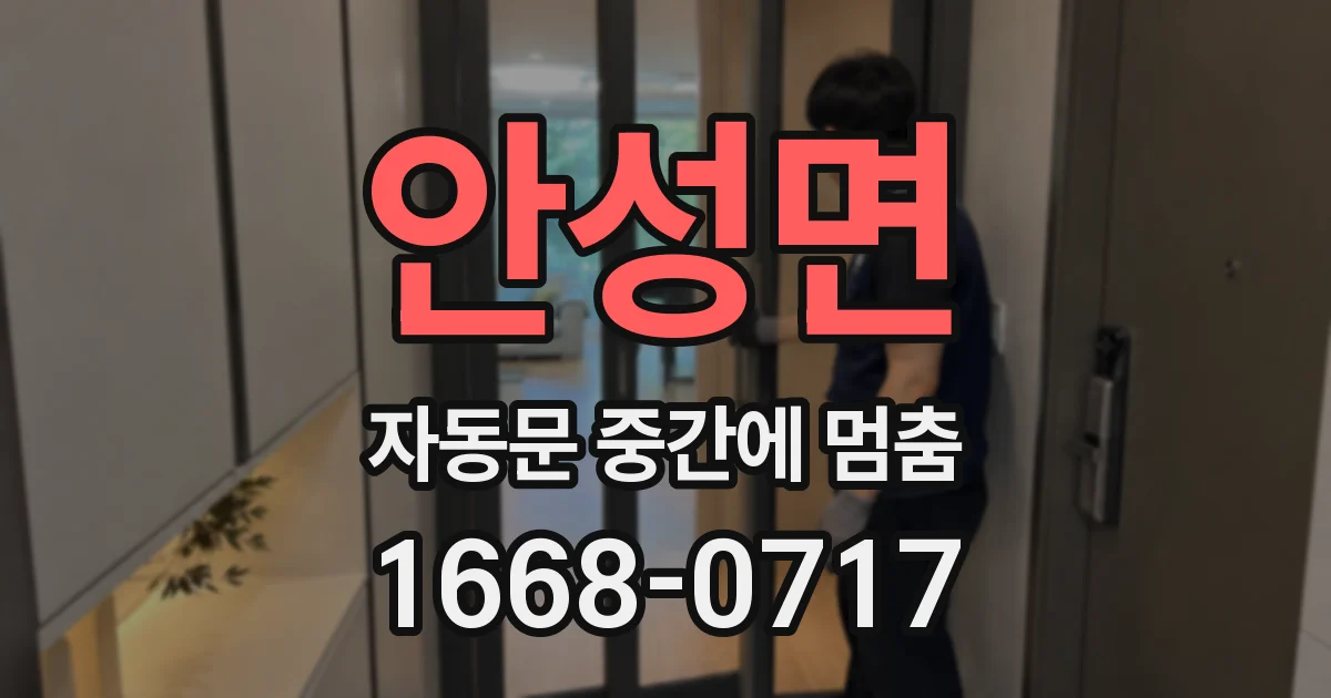 안성면 자동문 중간에 멈춤
