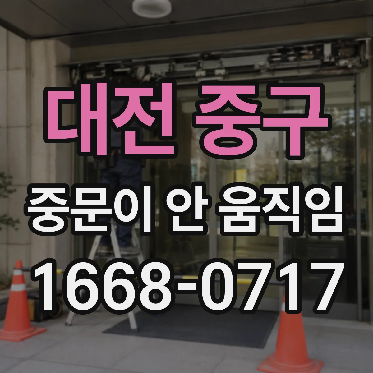 대전 중구 중문이 안 움직임