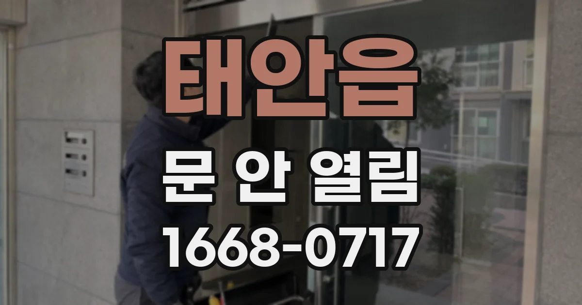 태안읍 문 안 열림