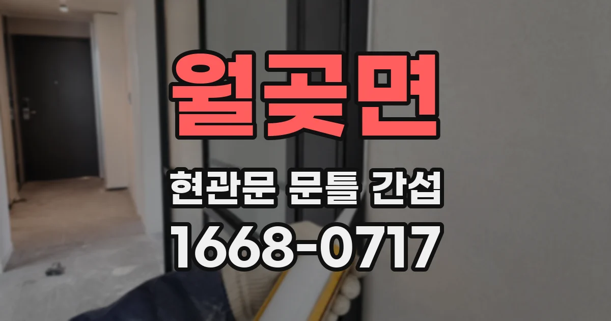 월곶면 현관문 문틀 간섭