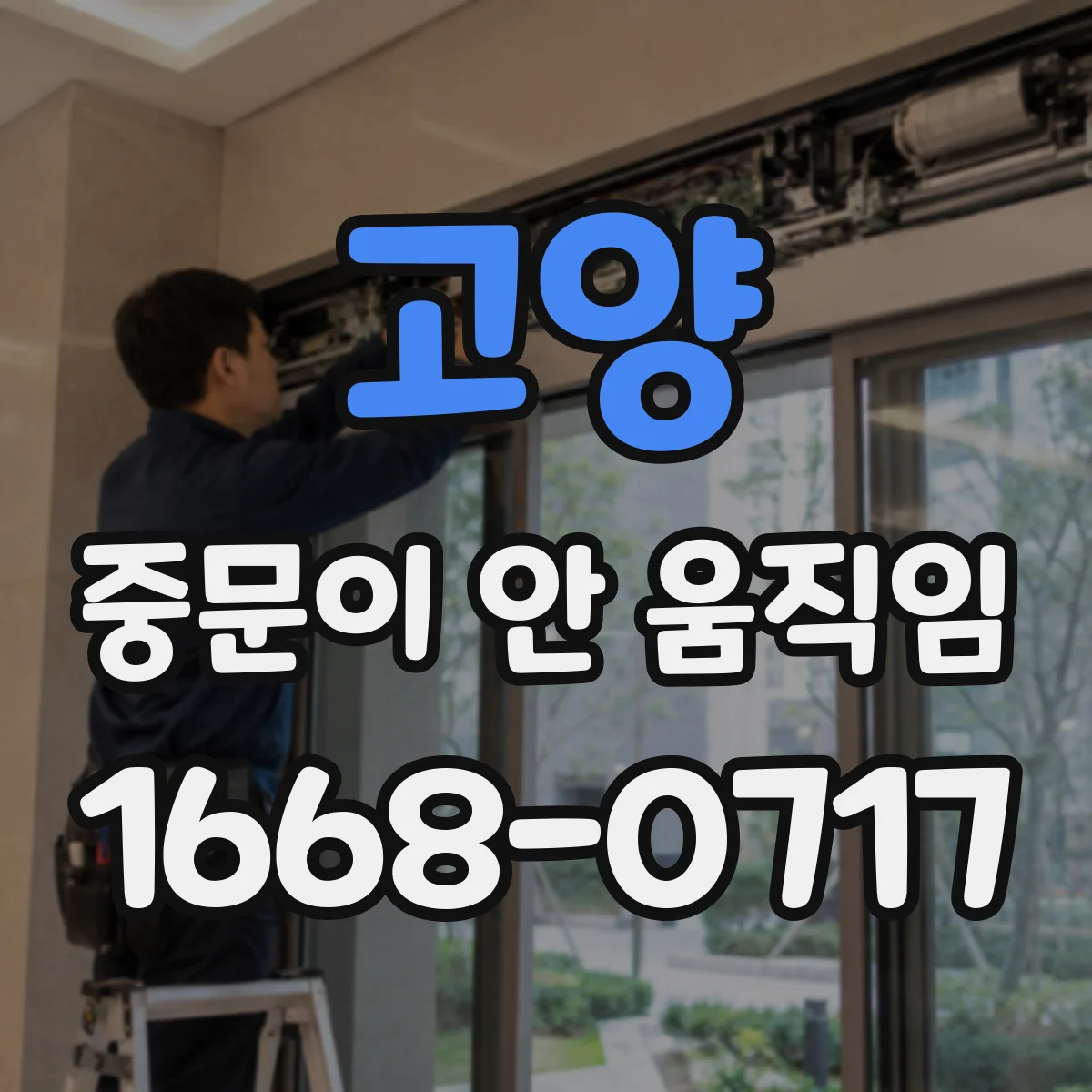 고양 중문이 안 움직임