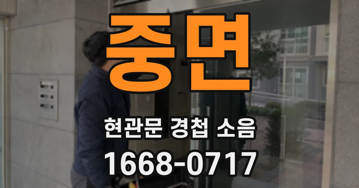 중면 현관문 경첩 소음