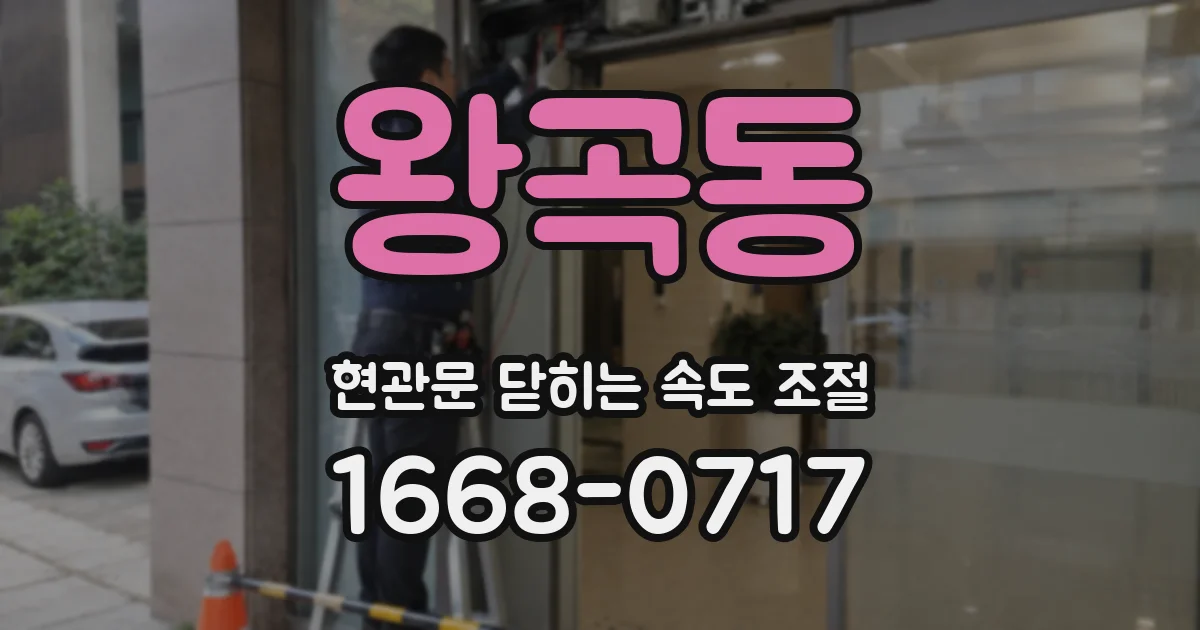 왕곡동 현관문 닫히는 속도 조절