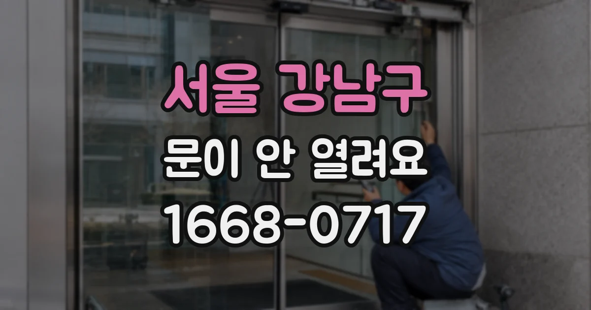 서울 강남구 문이 안 열려요
