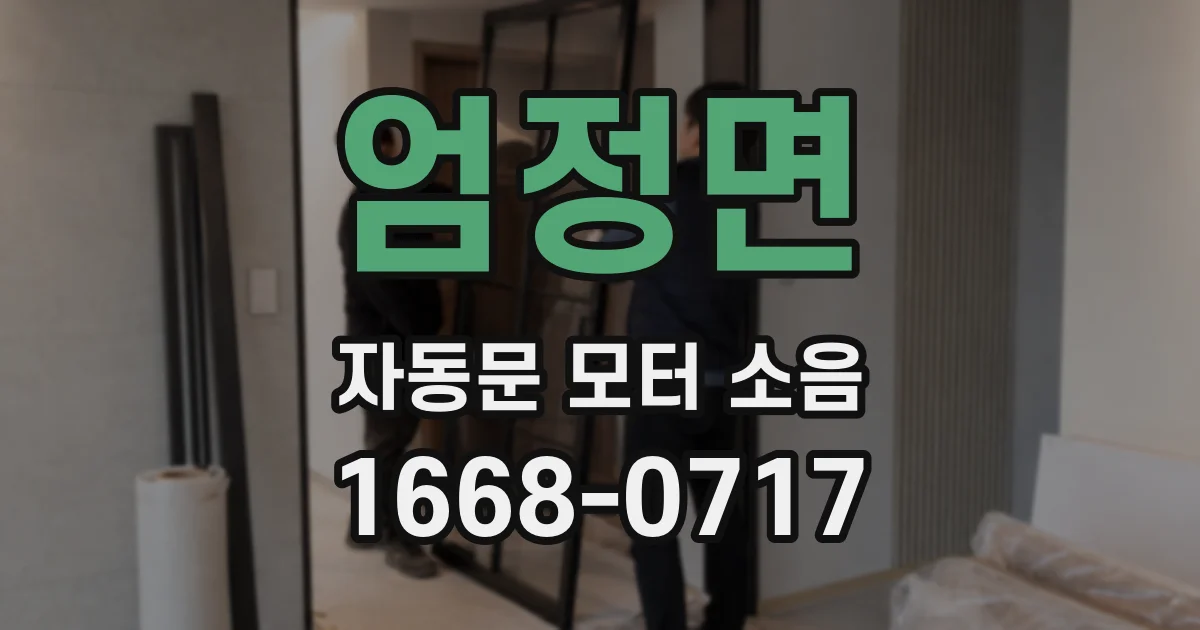 엄정면 자동문 모터 소음
