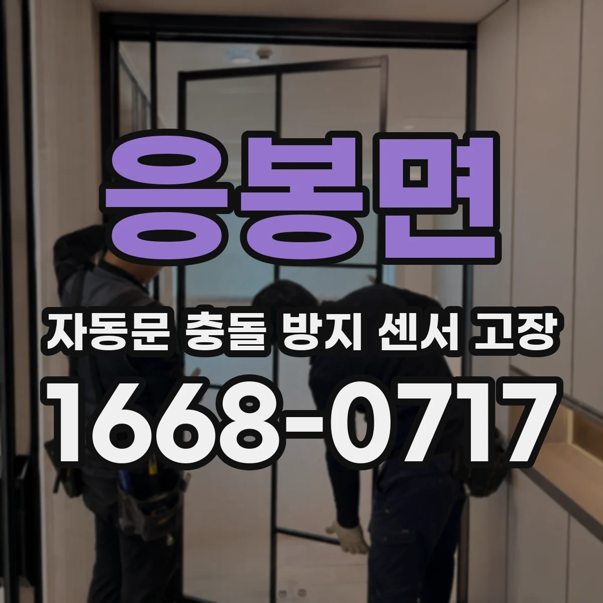 응봉면 자동문 충돌 방지 센서 고장