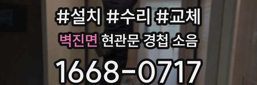 벽진면 현관문 경첩 소음