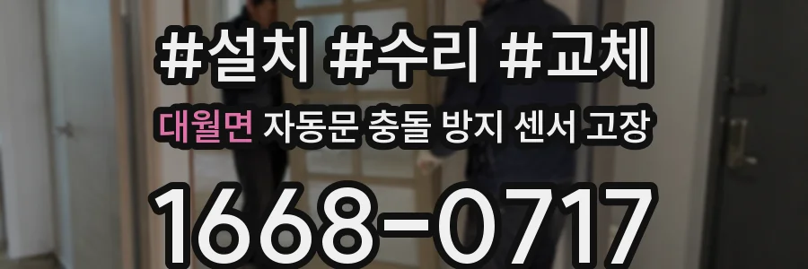 대월면 자동문 충돌 방지 센서 고장