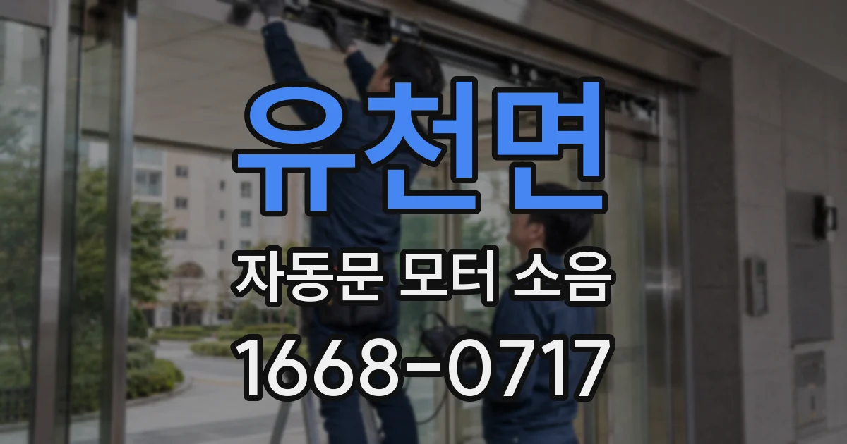 유천면 자동문 모터 소음