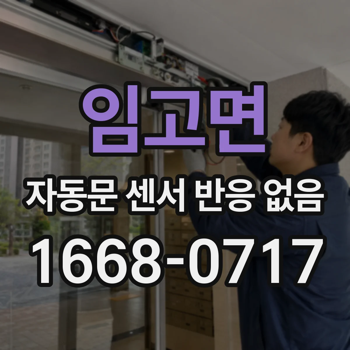 임고면 자동문 센서 반응 없음