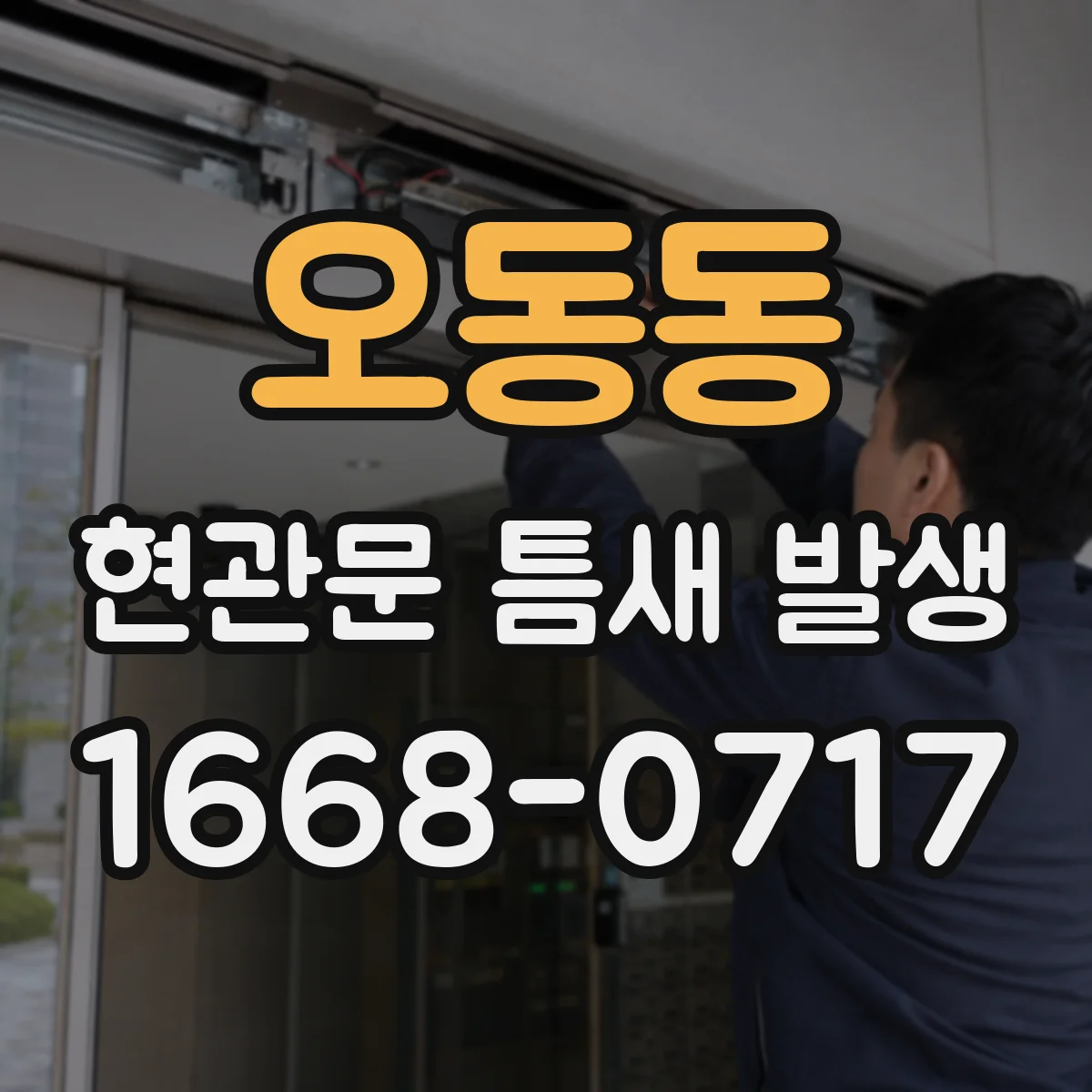 오동동 현관문 틈새 발생