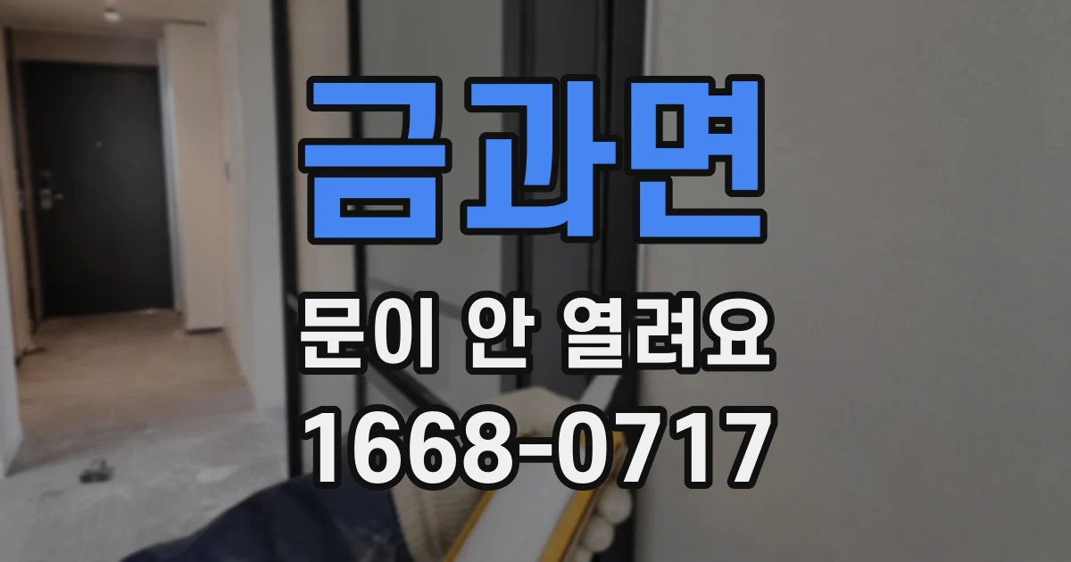 금과면 문이 안 열려요