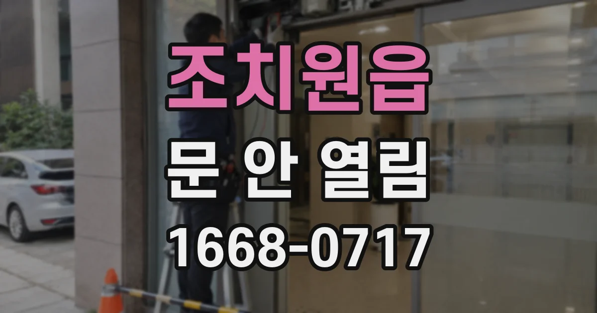 조치원읍 문 안 열림