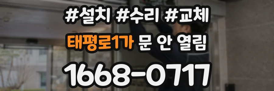 태평로1가 문 안 열림