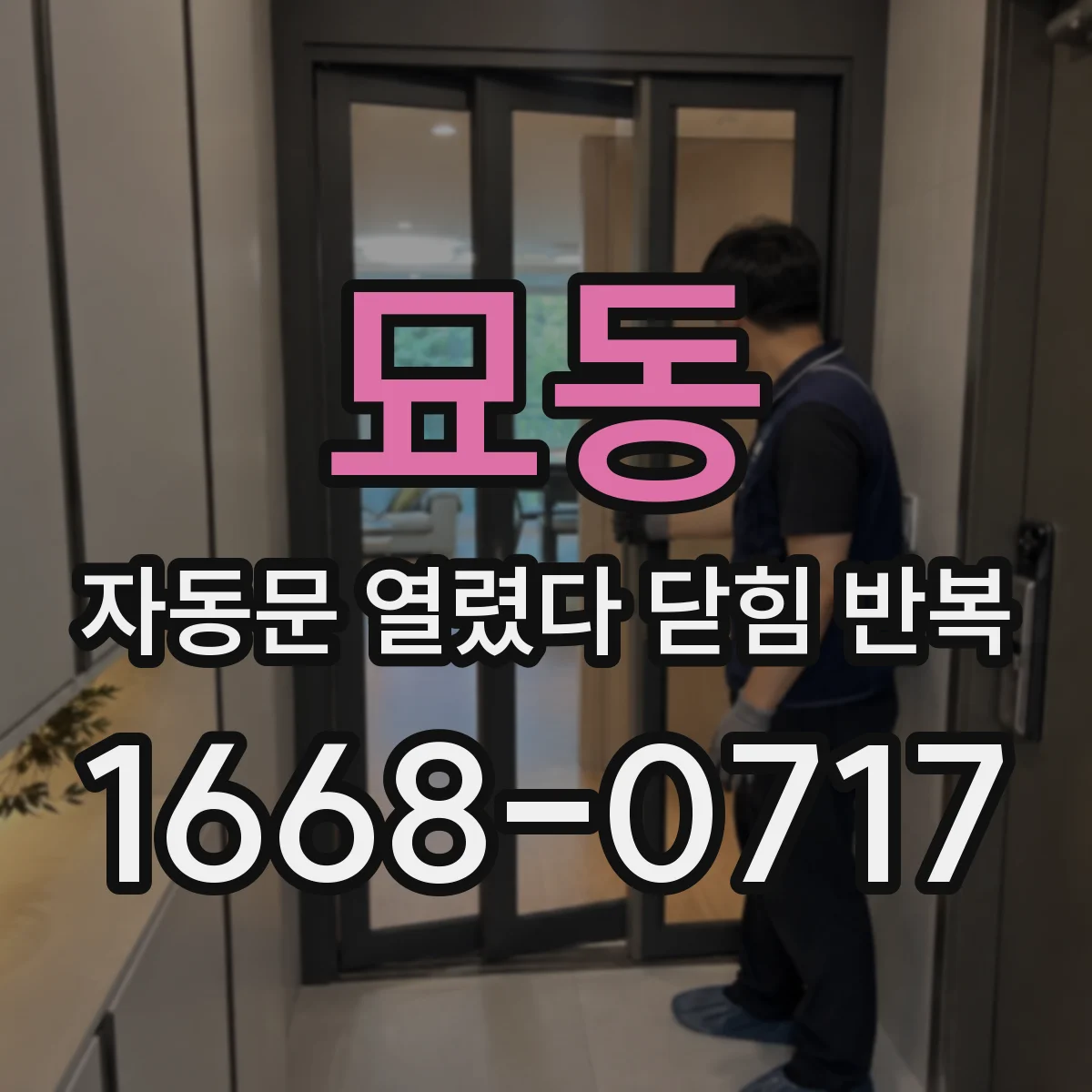 묘동 자동문 열렸다 닫힘 반복