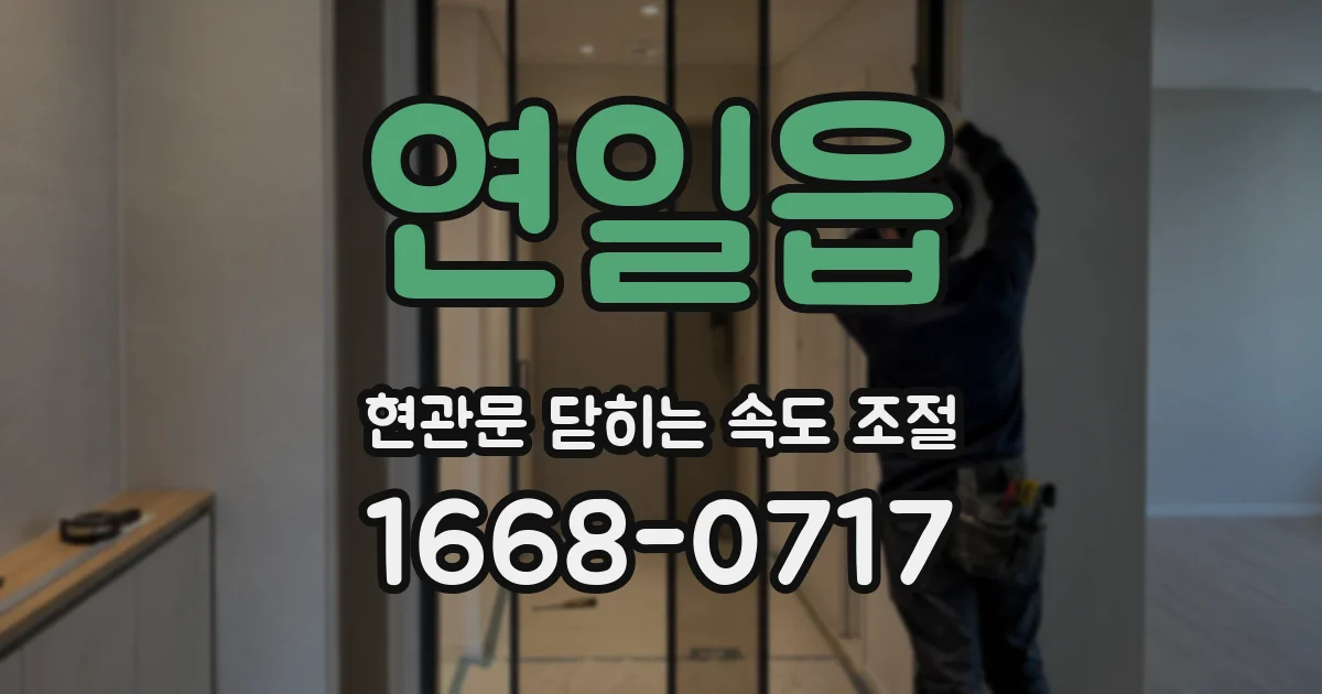 연일읍 현관문 닫히는 속도 조절