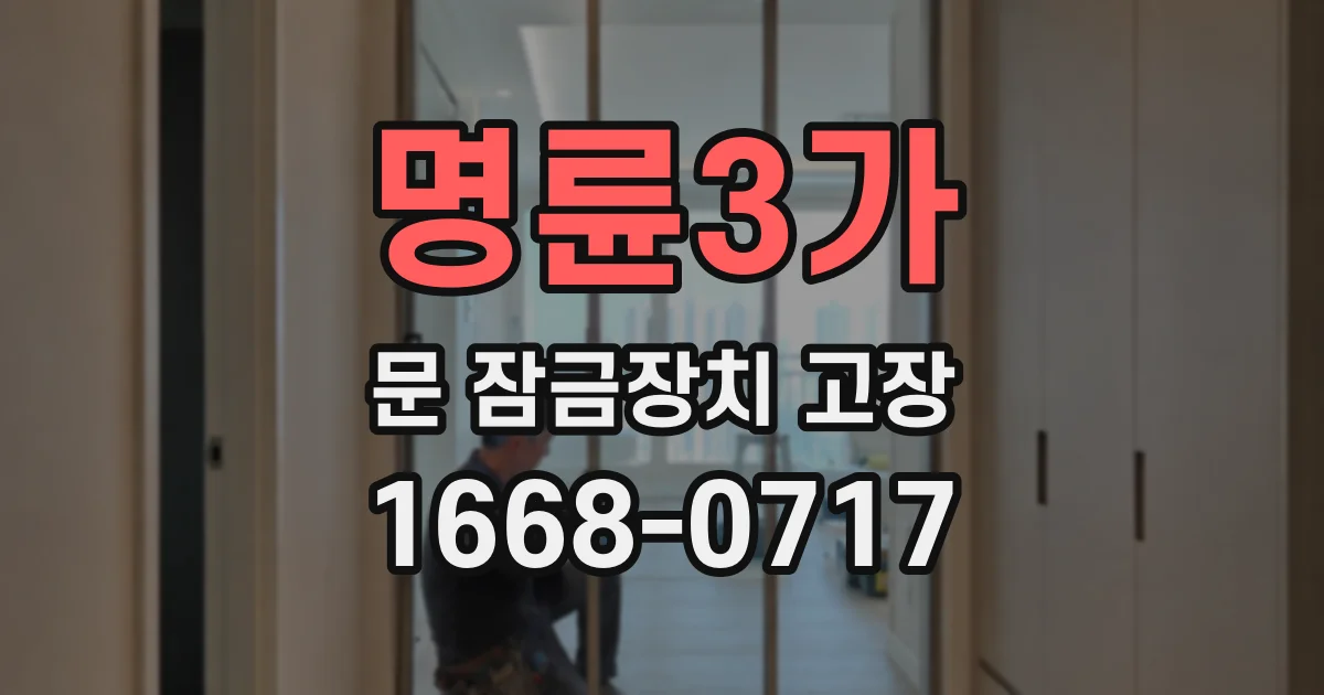 명륜3가 문 잠금장치 고장