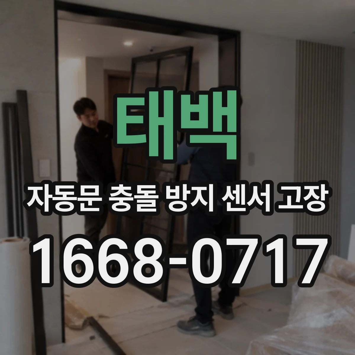 태백 자동문 충돌 방지 센서 고장