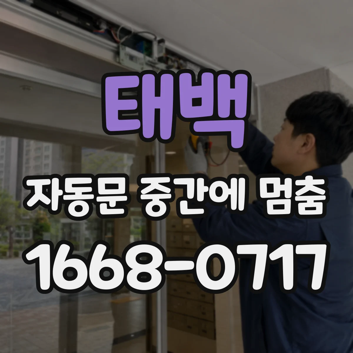 태백 자동문 중간에 멈춤