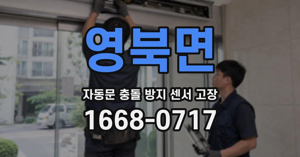 영북면 자동문 충돌 방지 센서 고장