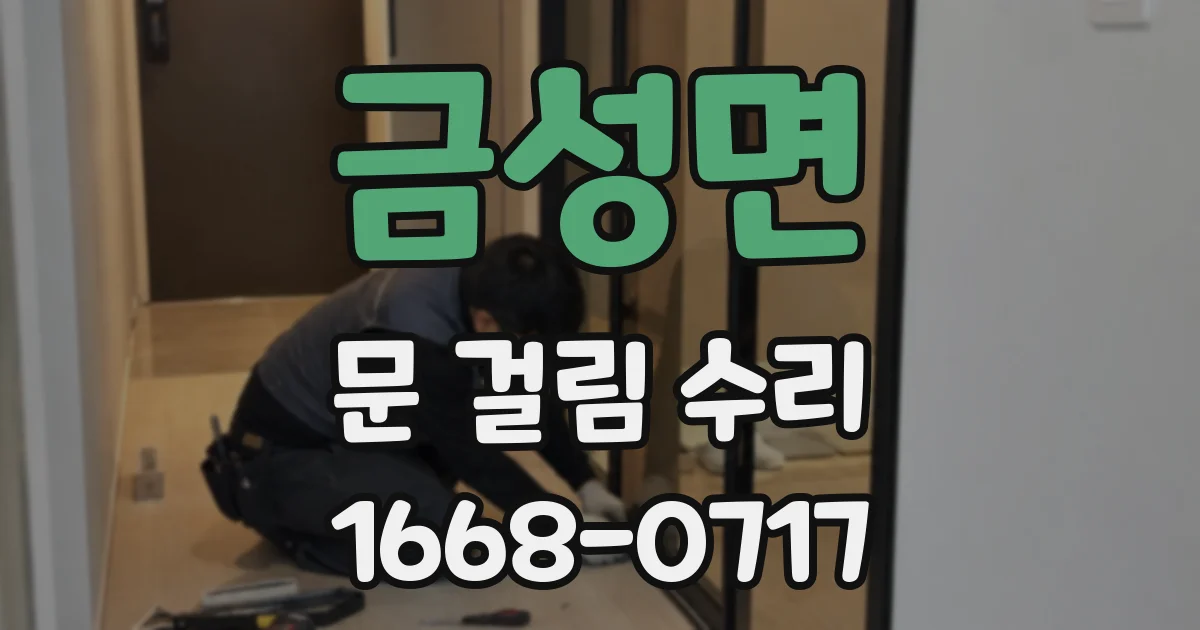 금성면 문 걸림 수리