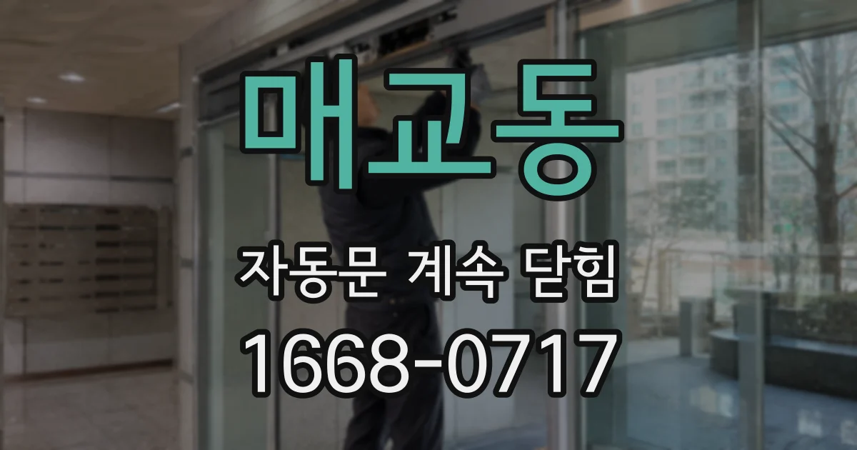 매교동 자동문 계속 닫힘