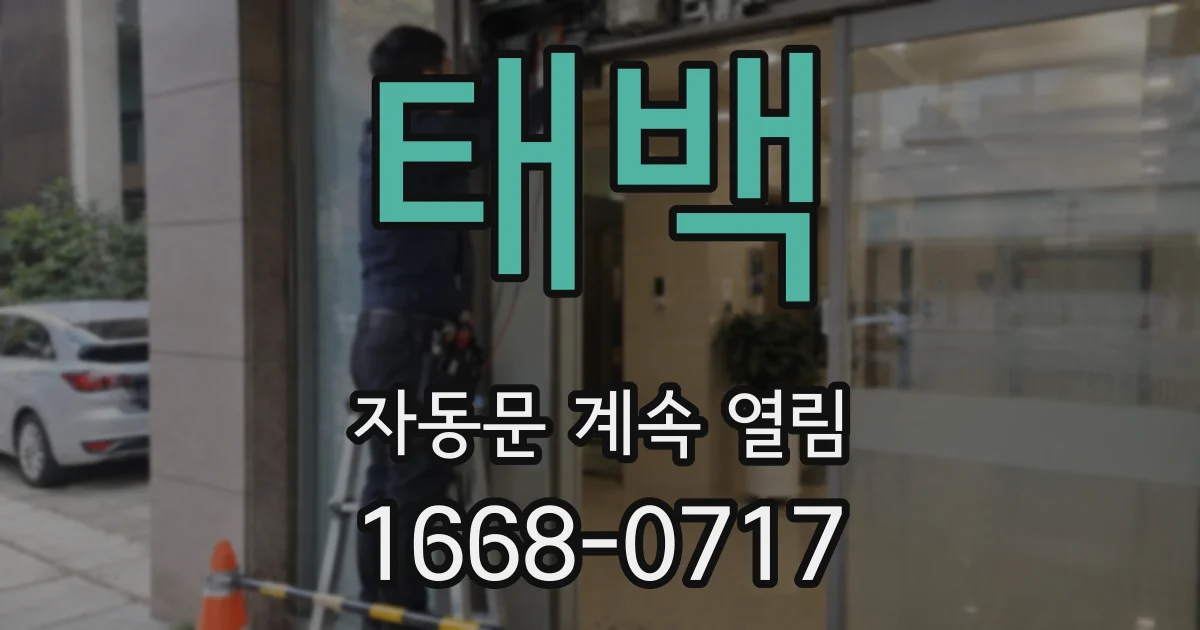 태백 자동문 계속 열림