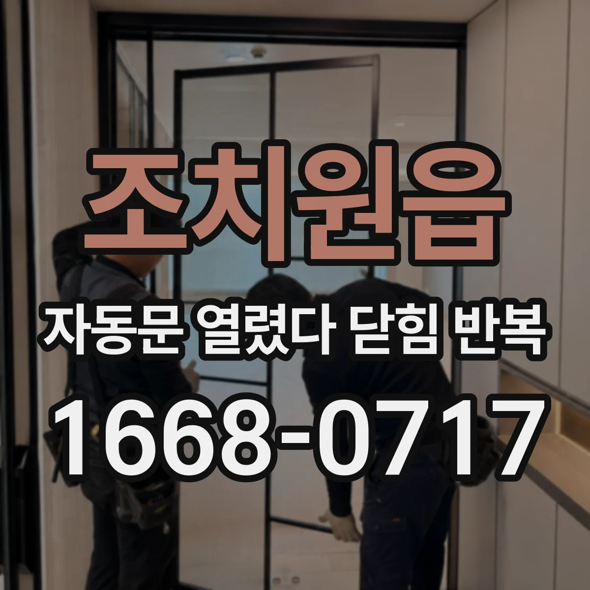 조치원읍 자동문 열렸다 닫힘 반복