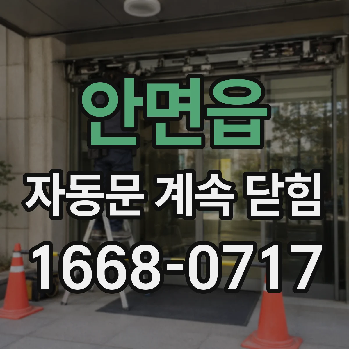 안면읍 자동문 계속 닫힘