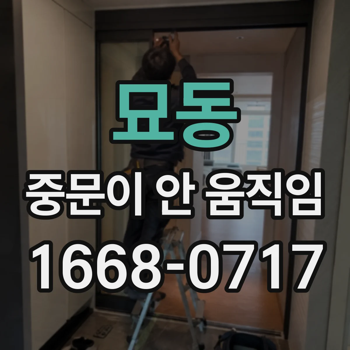 묘동 중문이 안 움직임