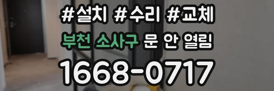 부천 소사구 문 안 열림