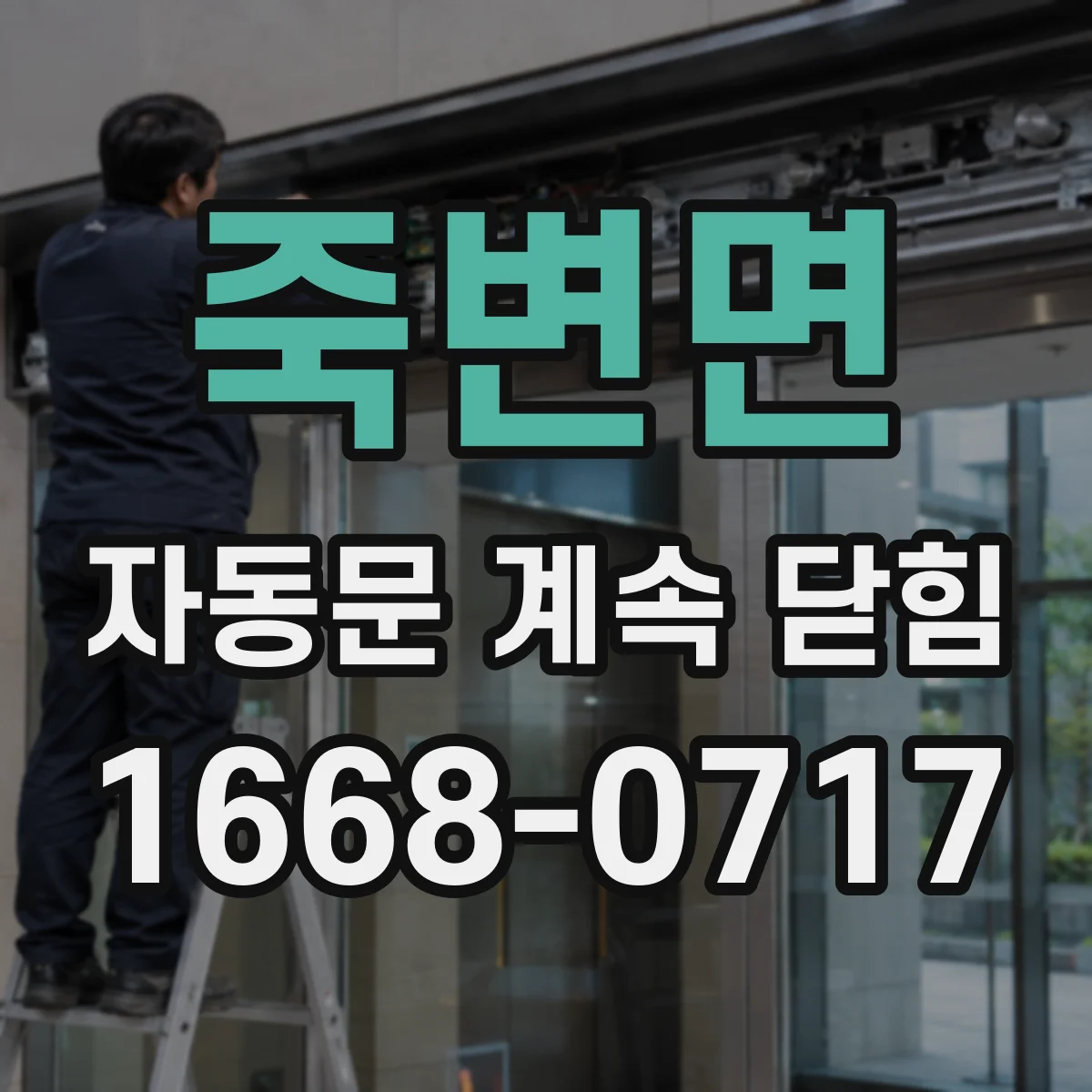 죽변면 자동문 계속 닫힘