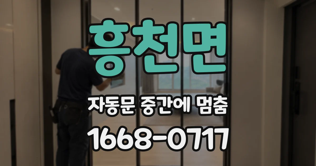 흥천면 자동문 중간에 멈춤