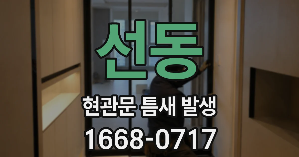 선동 현관문 틈새 발생