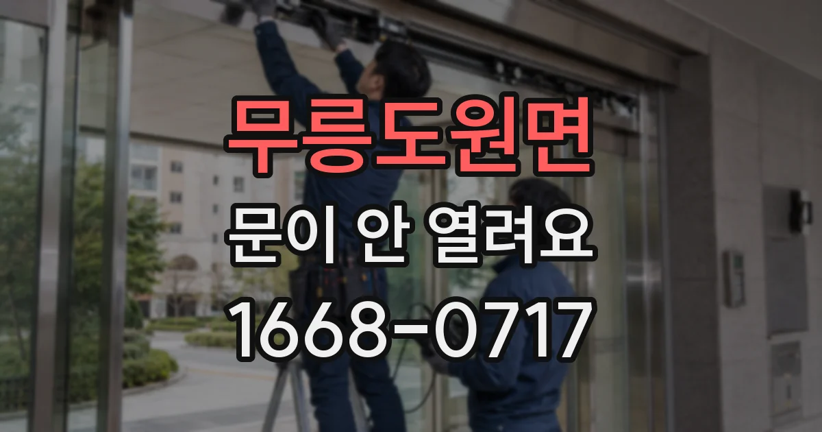 무릉도원면 문이 안 열려요