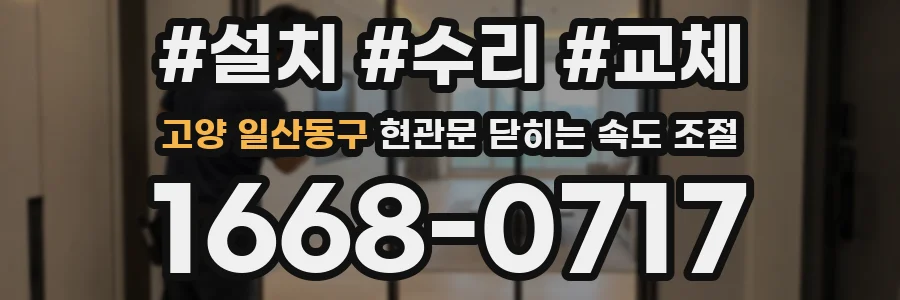 고양 일산동구 현관문 닫히는 속도 조절