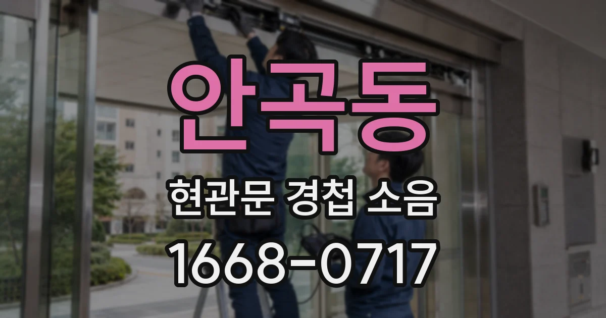 안곡동 현관문 경첩 소음
