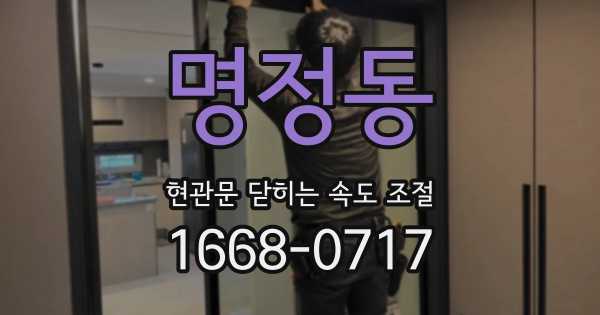 명정동 현관문 닫히는 속도 조절