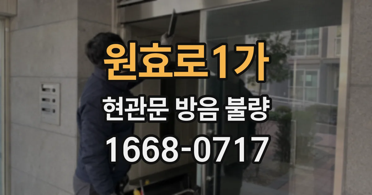 원효로1가 현관문 방음 불량