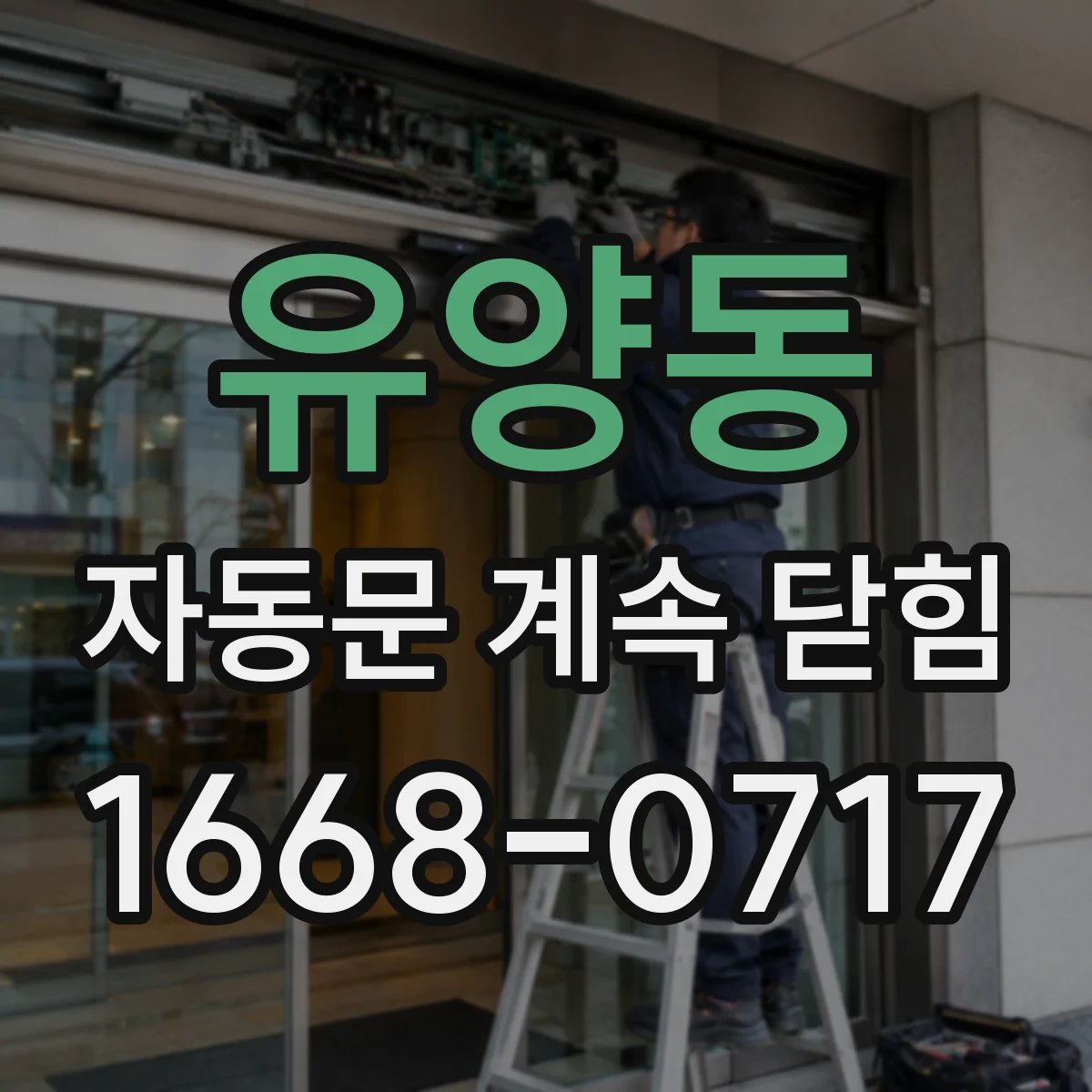 유양동 자동문 계속 닫힘