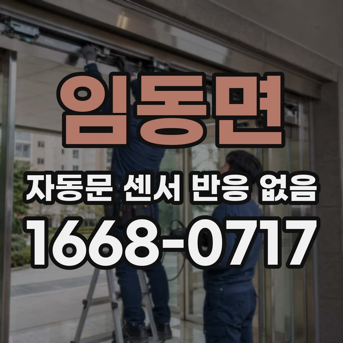 임동면 자동문 센서 반응 없음