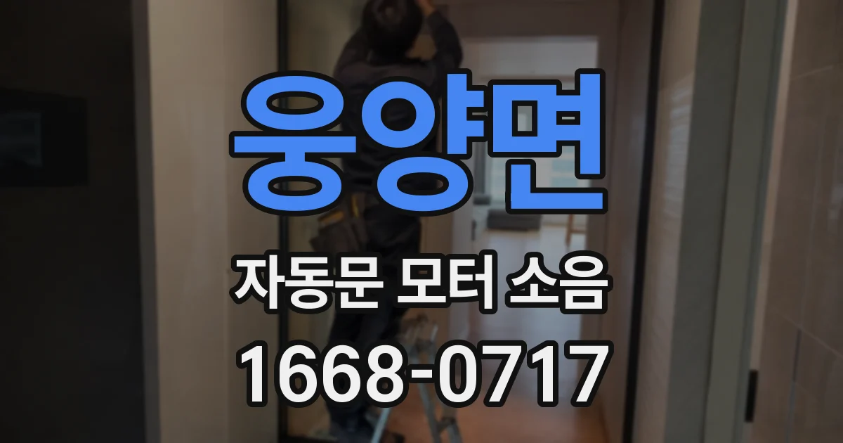 웅양면 자동문 모터 소음