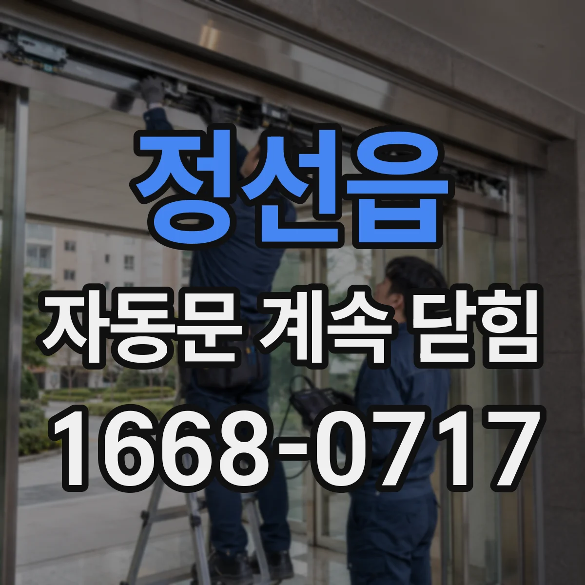 정선읍 자동문 계속 닫힘