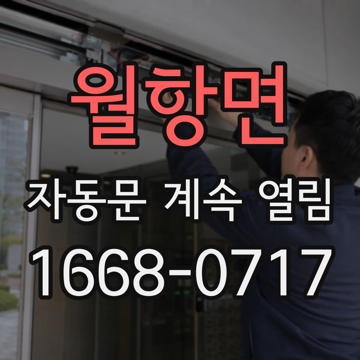 월항면 자동문 계속 열림