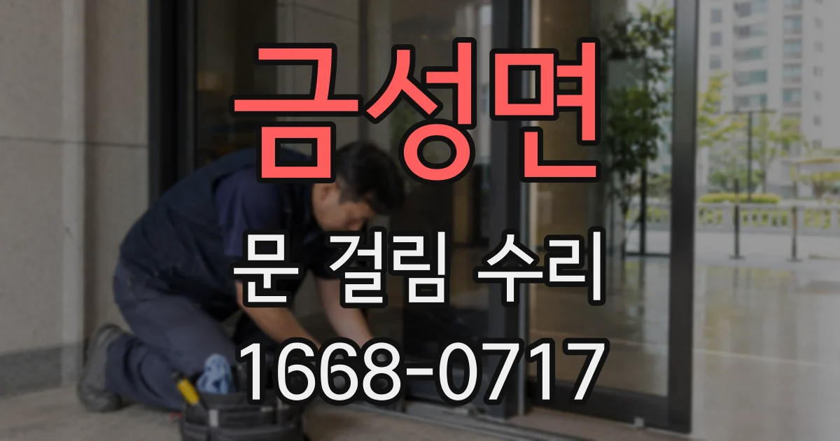 금성면 문 걸림 수리