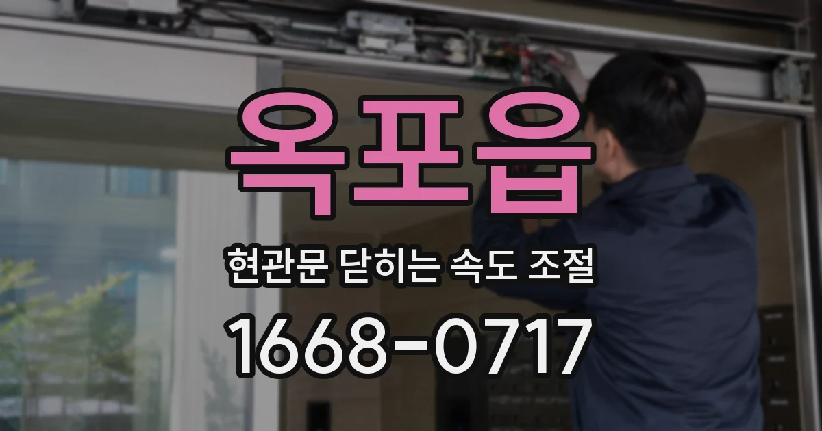 옥포읍 현관문 닫히는 속도 조절